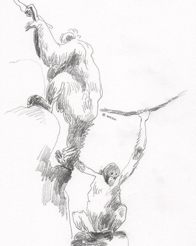 640x800 Art In Motion