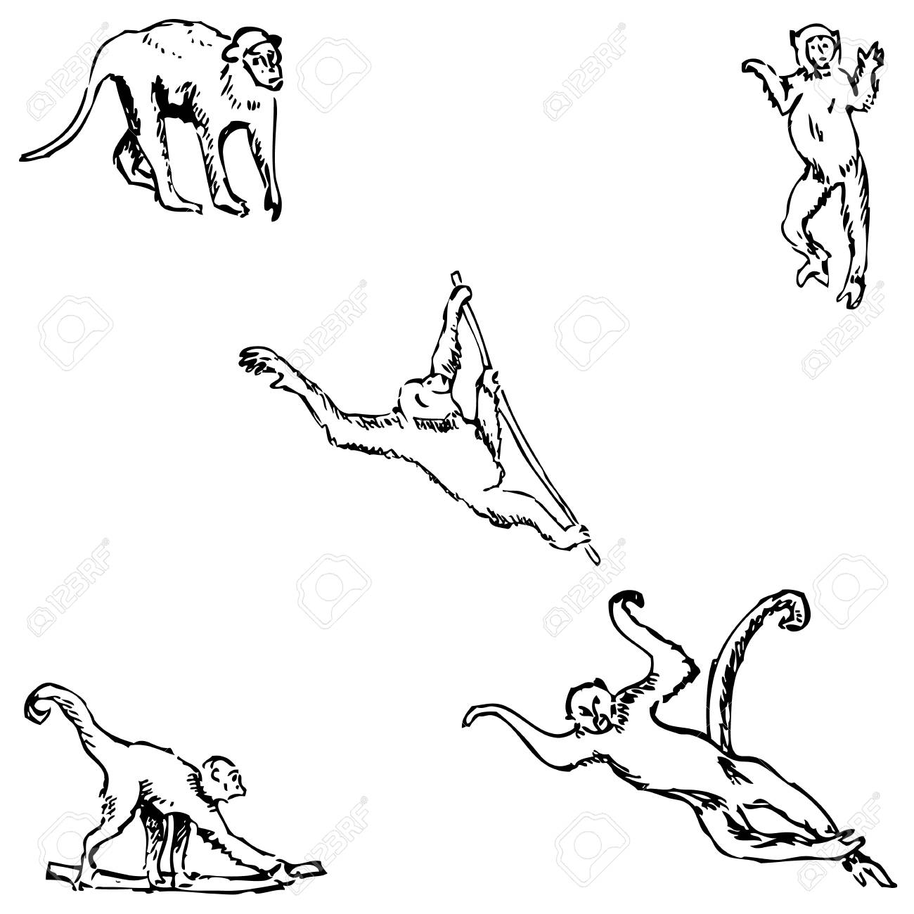 1300x1300 Monkey. A Sketch By Hand. Pencil Drawing. Vector Image Royalty