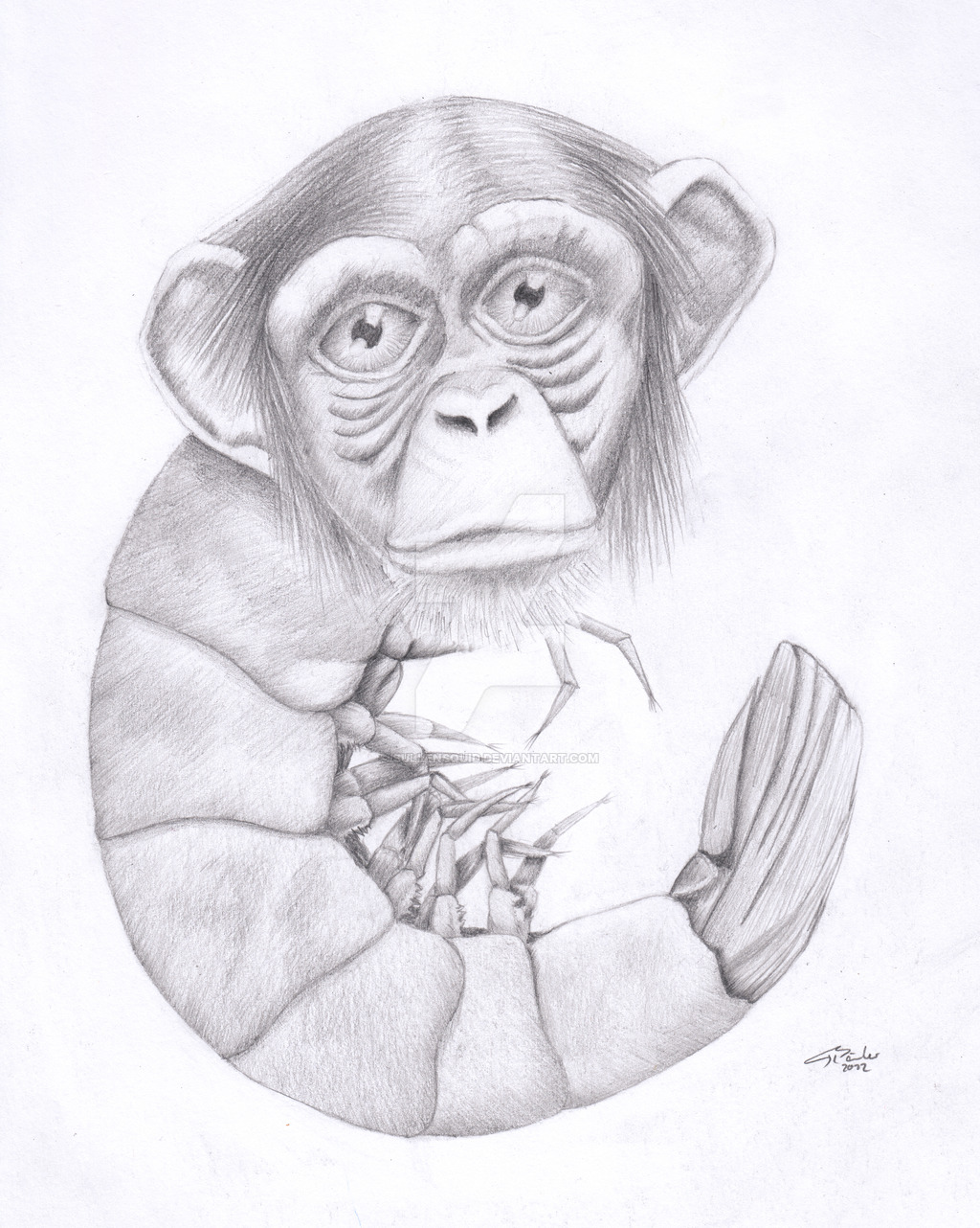 1024x1282 Shrimpanzee By Sullensquid