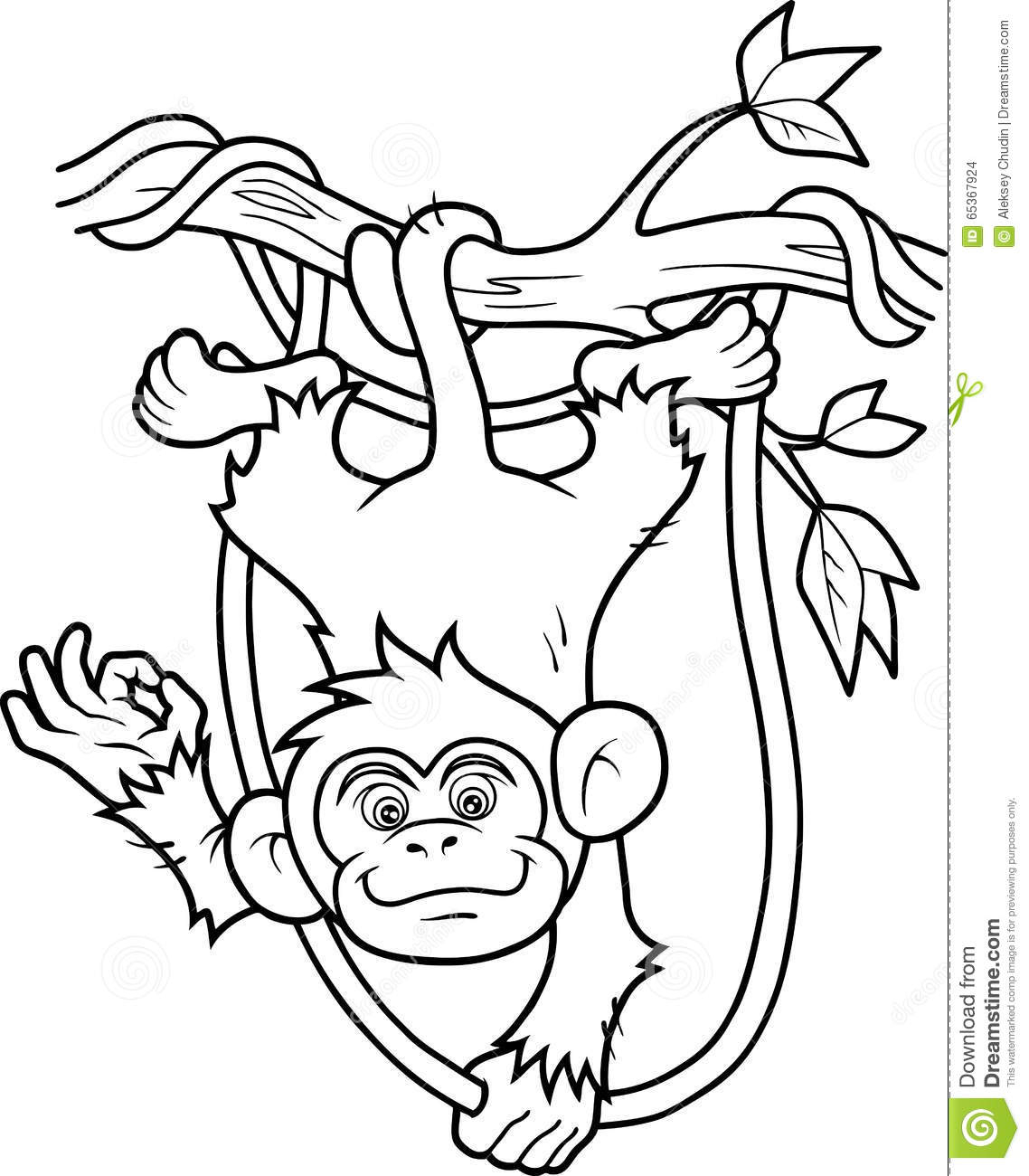 1138x1300 Hanging Monkey Drawing