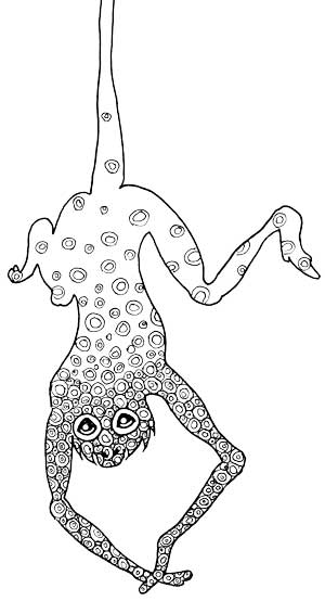300x566 Weird Monkey Drawing Archives