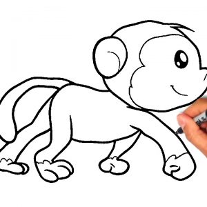 300x300 How To Draw A Monkey For Kids How Kids Adult
