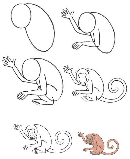 544x663 Draw A Monkey Baby Stuffs Babies