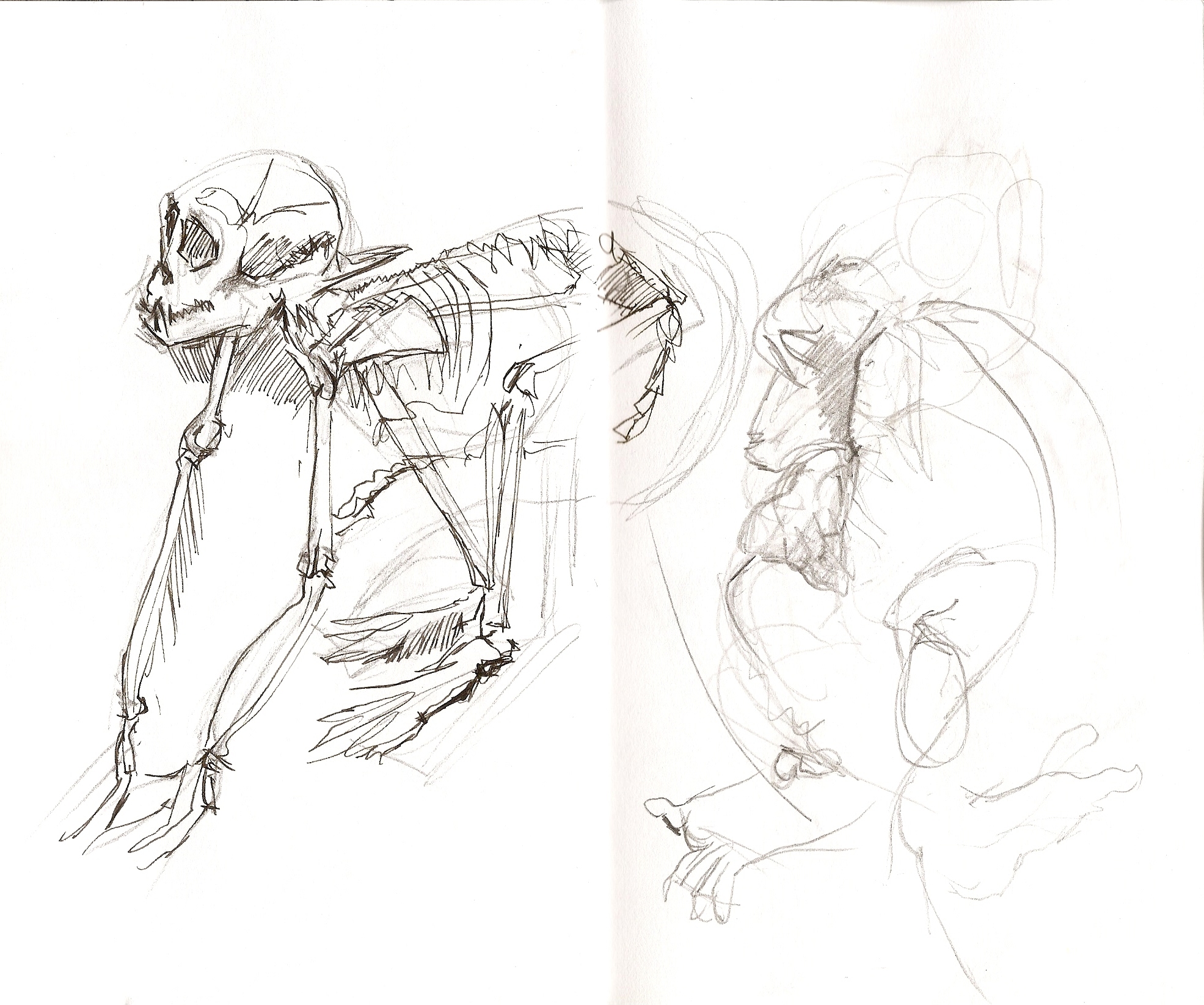 1971x1646 Monkey Business Sketching Monkeys Live