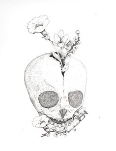 236x305 Shooting Wild Monkey's In Chiapas Spider Monkeys, Monkey And Spider