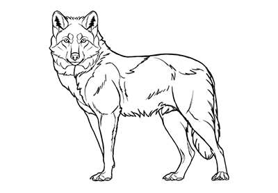 400x277 How To Draw A Monkey Step By Step