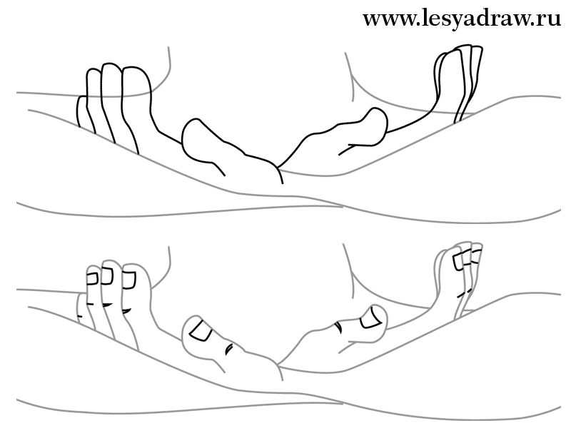800x600 To Draw A Monkey From The Lion King