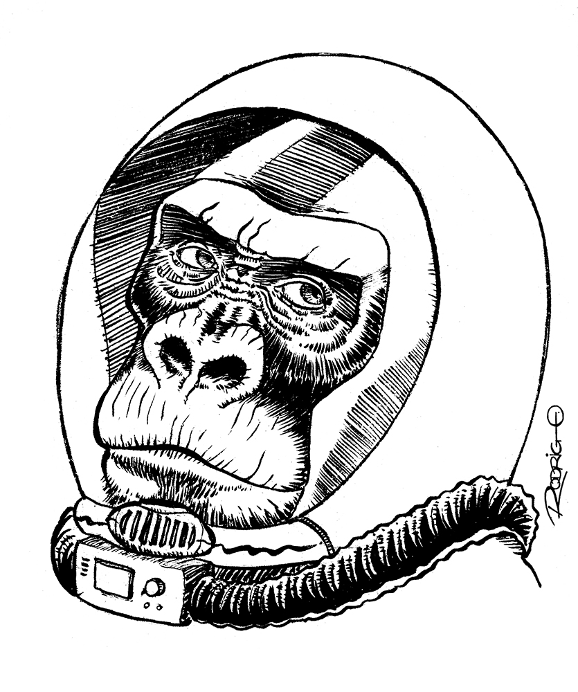 835x1000 Space Monkey By Rodrigodiazaravena