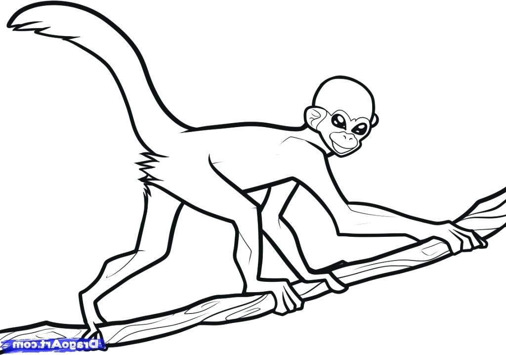 1024x718 Spider Monkey Coloring Pages Free Printable Monkey Coloring Pages