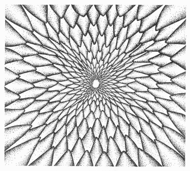 770x693 Saatchi Art Mono