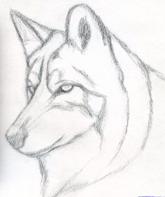 236x281 Wolf Drawing Idea Drawings Drawing Ideas, Wolf
