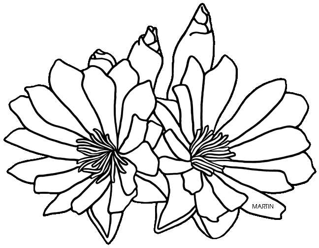 648x503 United States Clip Art By Phillip Martin, State Floral Emblem