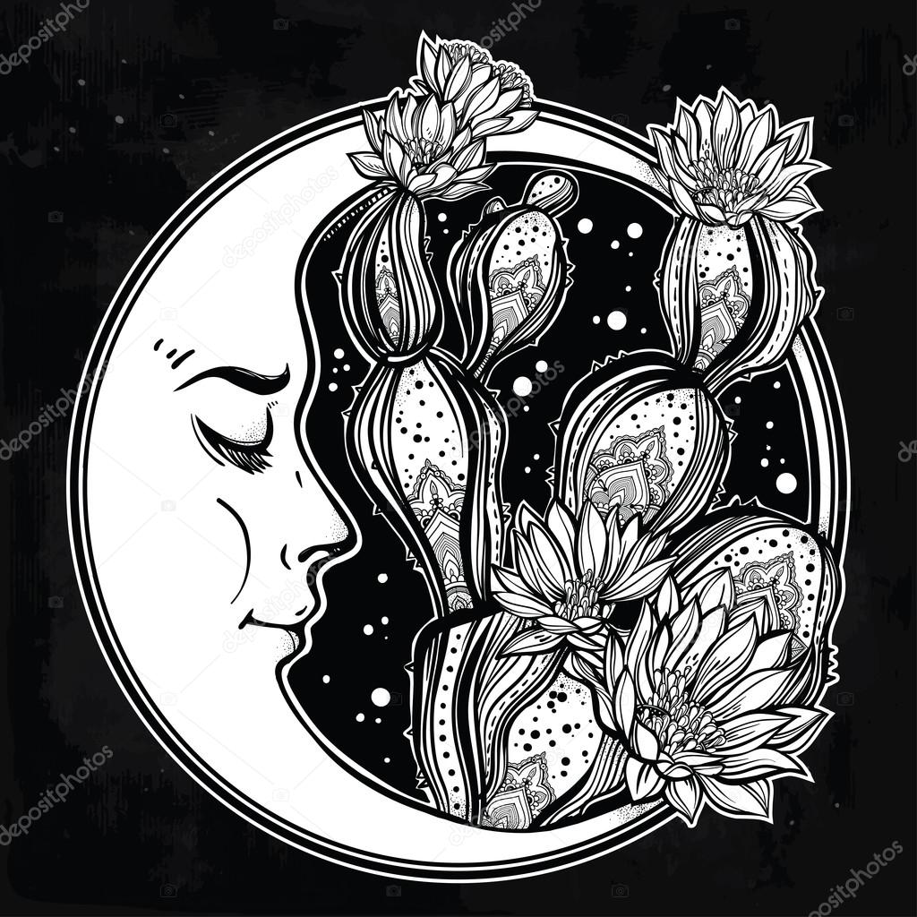 1024x1024 Hand Drawn Romantic Drawing With Moon And Cactus. Stock Vector