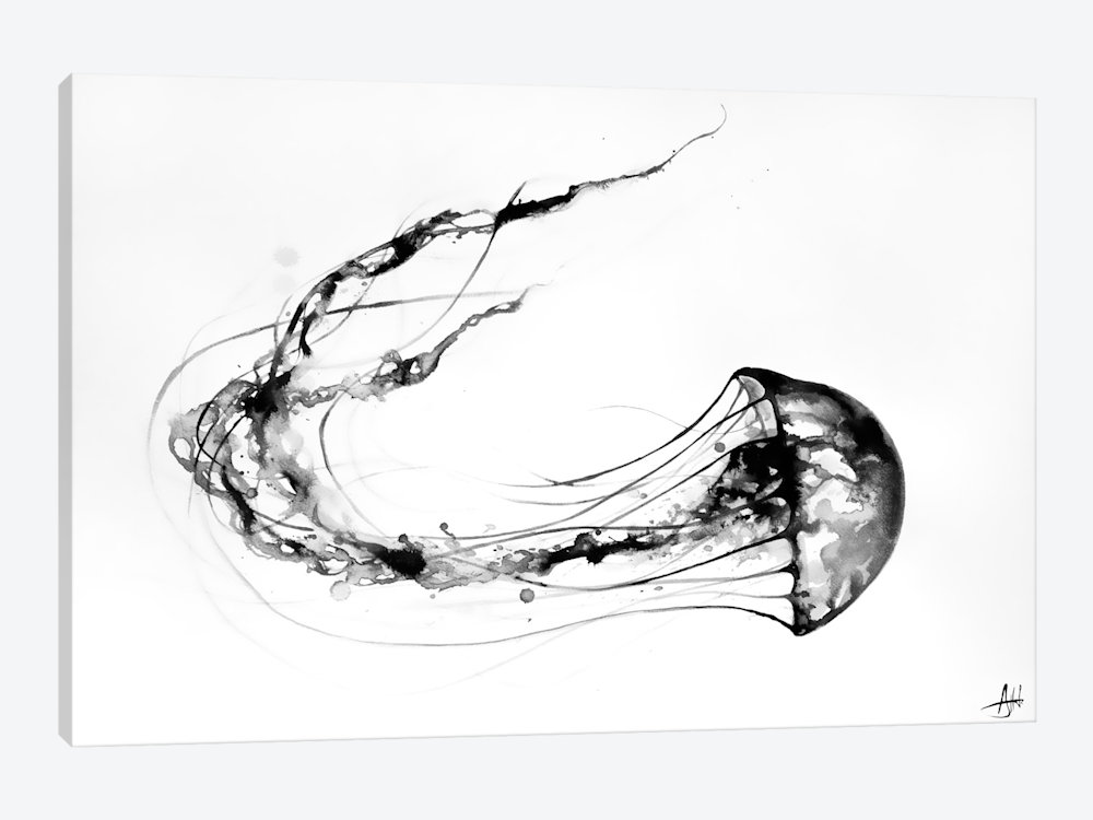 1000x750 That's No Moon Canvas Wall Art By Marc Allante Icanvas