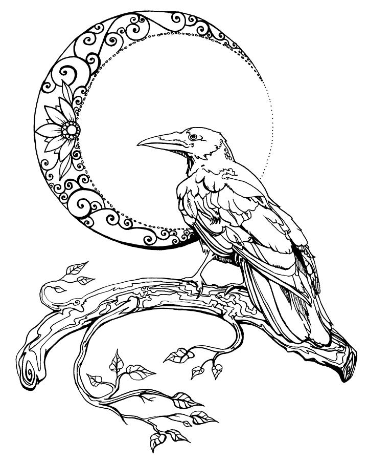 720x900 Crescent Moon Crow Drawing By Katherine Nutt