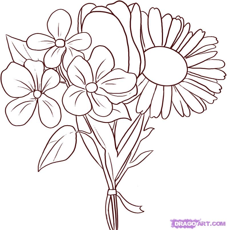 795x808 How To Draw Spring Flowers, Step By Step, Flowers, Pop Culture
