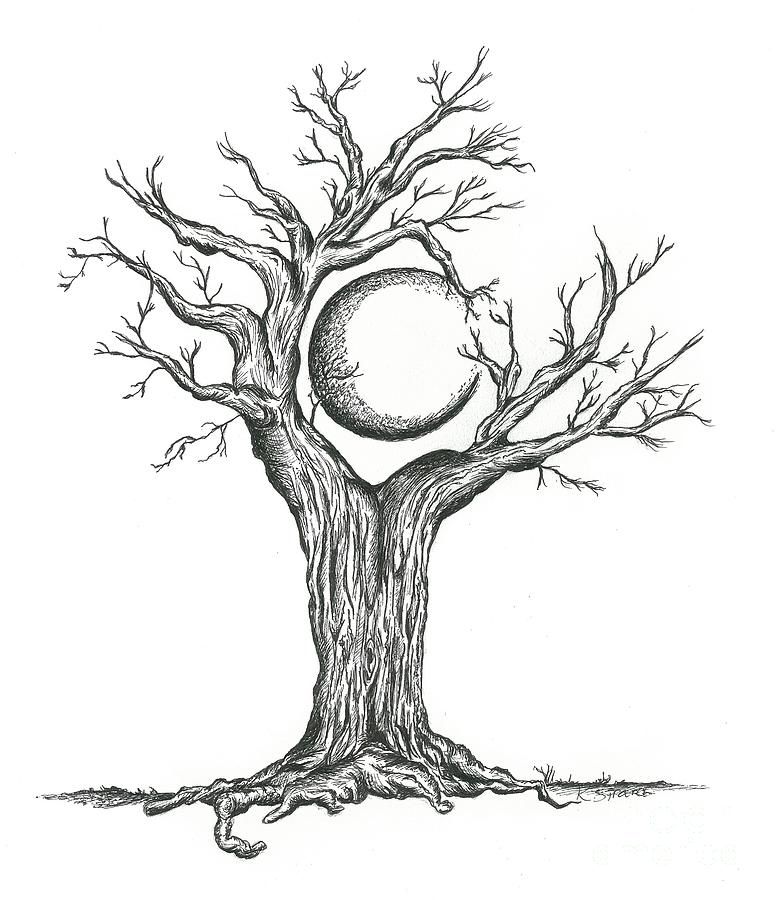 777x900 This Drawing Is Of A Crescent Moon Surrounded By The Tree