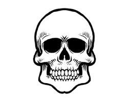252x200 112 Best Skulls Images On Skull Art, Skulls And Vector