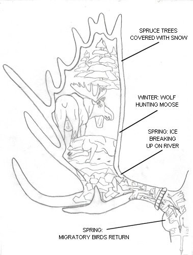 379x500 Hand Drawn Antlers Moose Antlers Drawing This Drawing Will Be