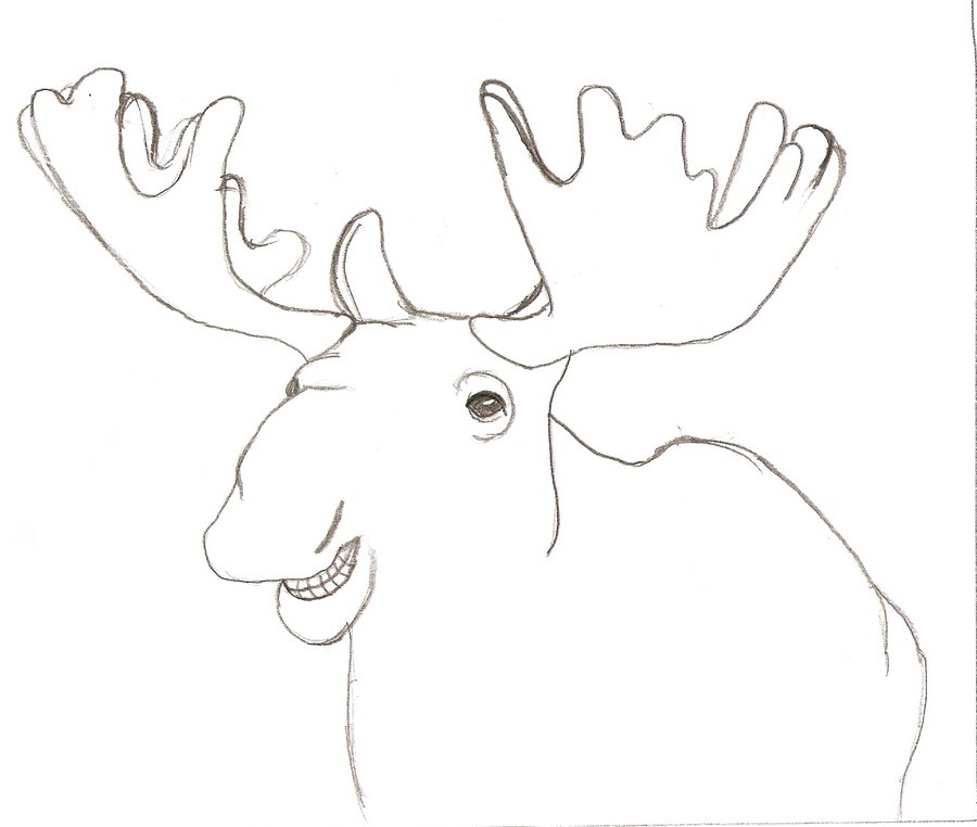 900x762 Happy Moose Sketch By Mafiawolf
