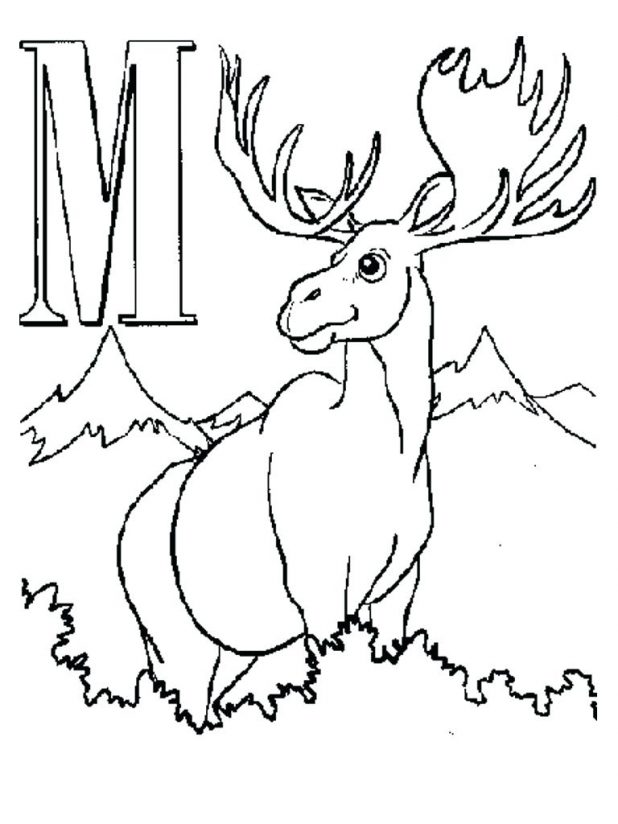 618x824 Moose Outline Coloring Page Elk Pages To Print Hunting Deer