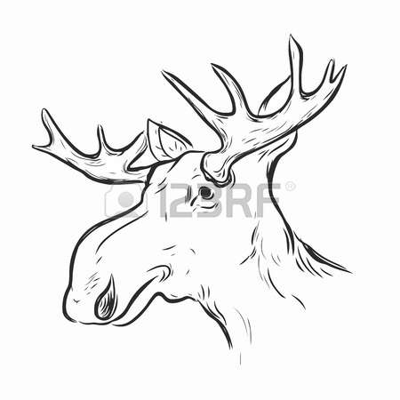 450x450 Drawn Moose Abstract