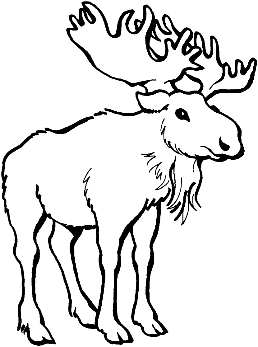 830x1115 Moose Clipart Many Interesting Cliparts