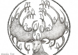 300x214 Moose Drawings