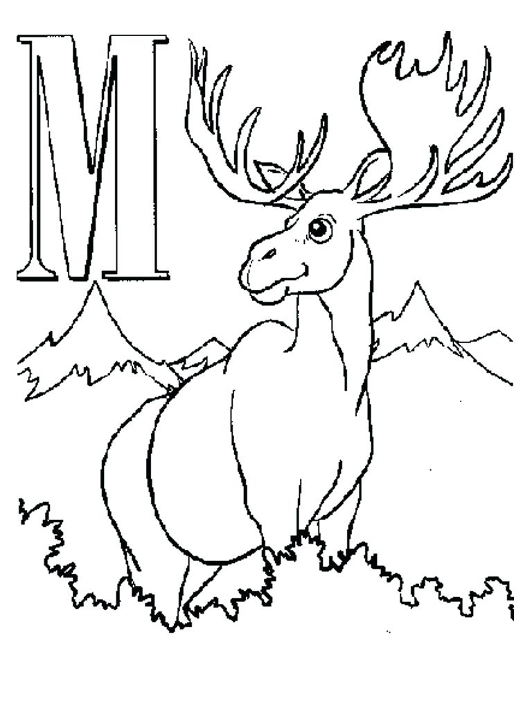 768x1024 Moose Outline Coloring Page Elk Pages To Print Hunting Deer