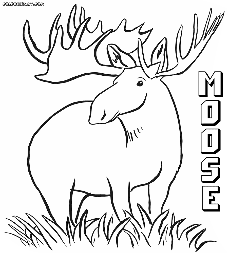 900x1000 Moose Coloring Pages Coloring Pages To Download And Print