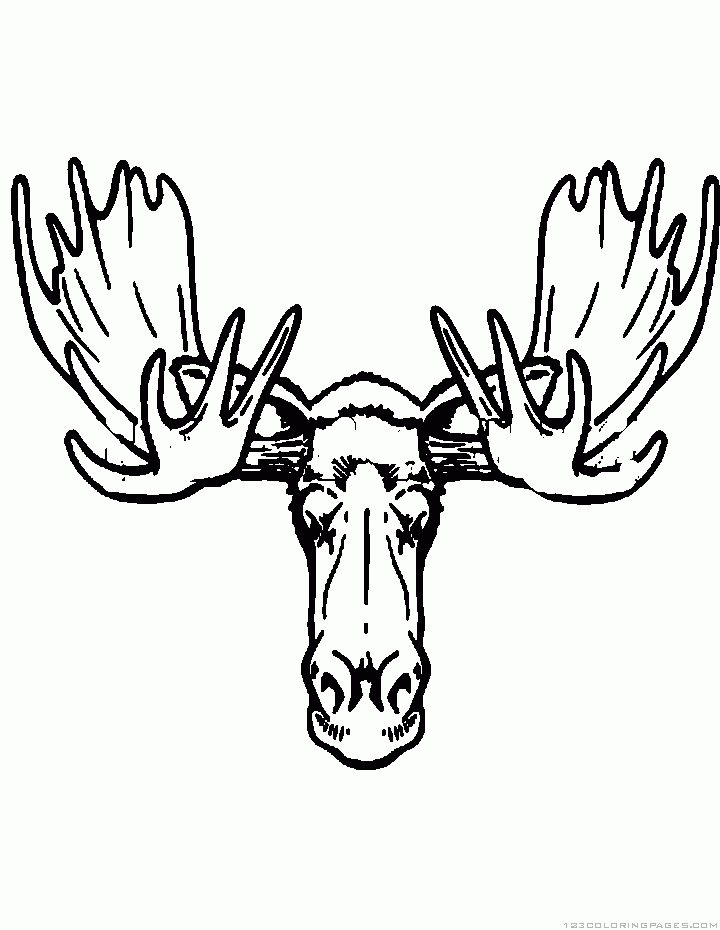 720x930 Moose Coloring Pages