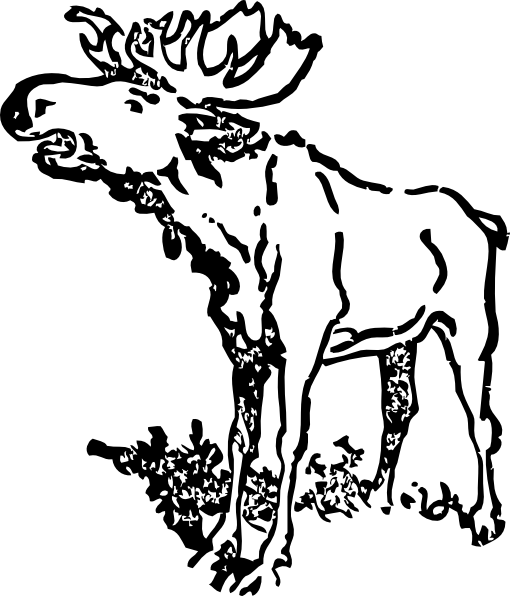 510x596 Moose Drawing Clip Art