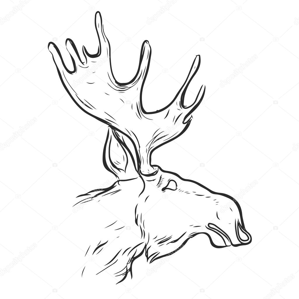 1024x1024 Hand Drawn Graphic Moose Stock Vector Kalita.katsiaryna@gmail