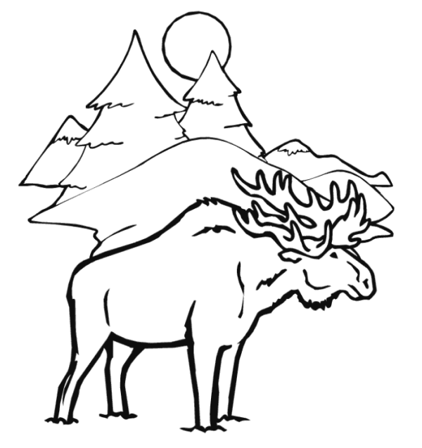 600x637 Moose Winter Animal Coloring Pages