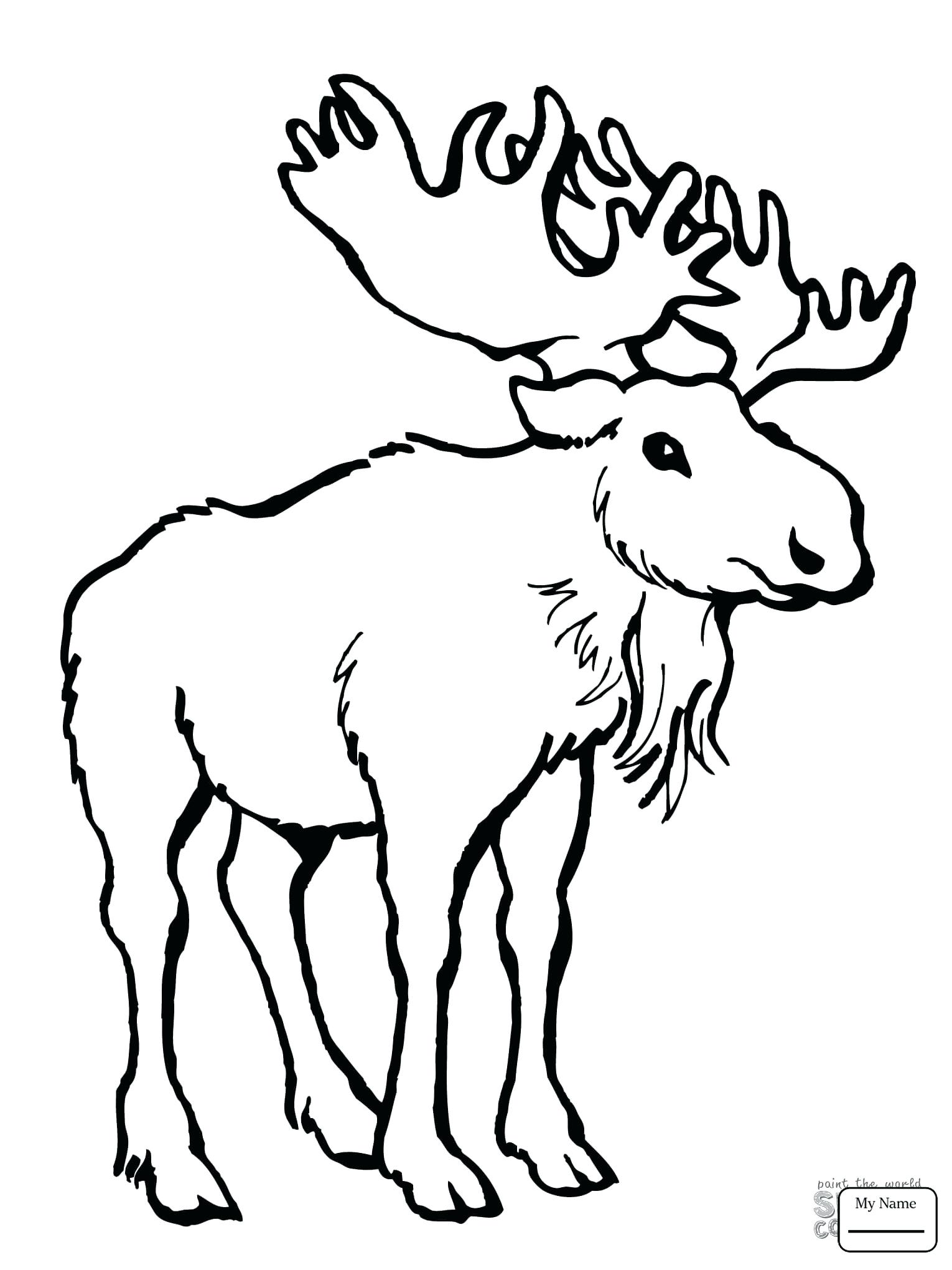1530x2040 Coloring Moose Coloring