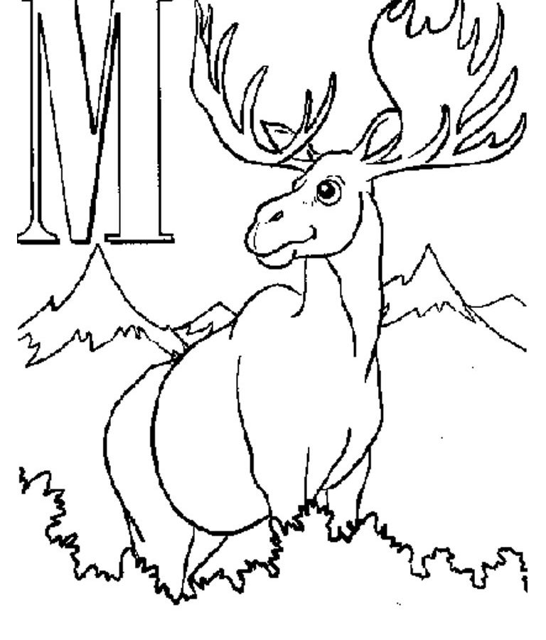 768x900 Letter M Is For Moose Coloring Page Free Printable Pages Animals