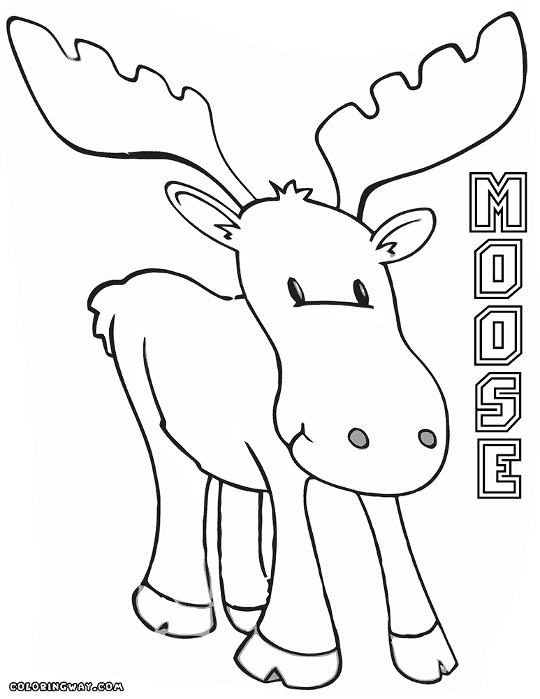 773x1000 Moose Coloring Pages Coloring Pages To Download And Print