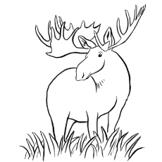 230x230 Top 20 Deer Coloring Pages For Your Little Ones