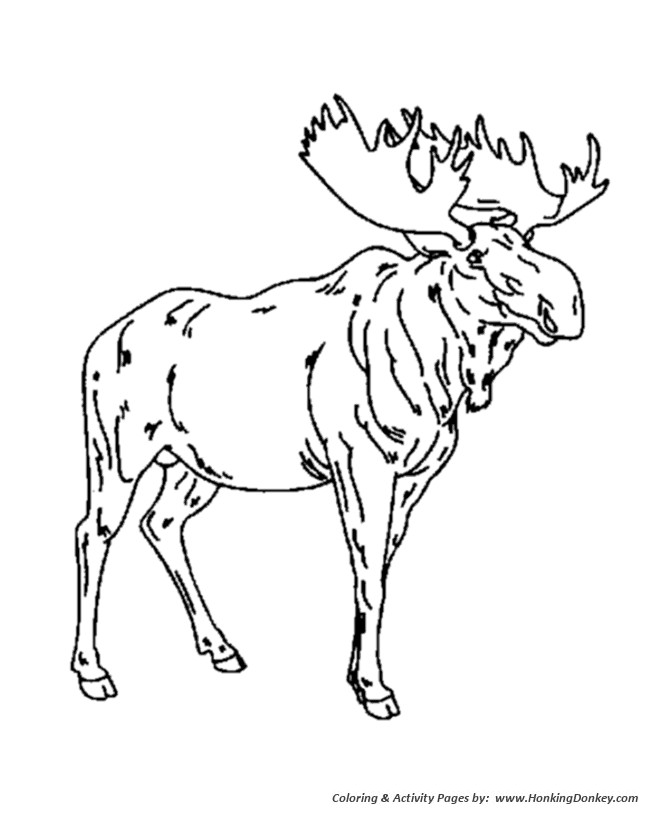 670x820 Wild Animal Coloring Pages Male Moose Coloring Page And Kids