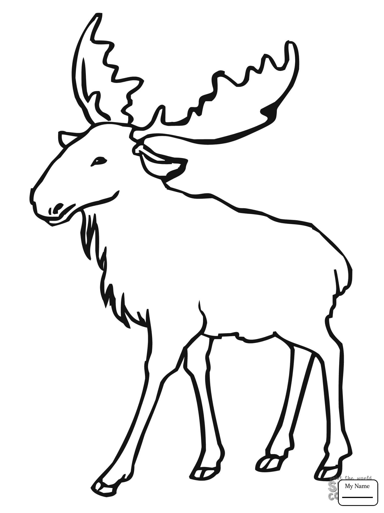 Moose Drawing For Kids at GetDrawings | Free download