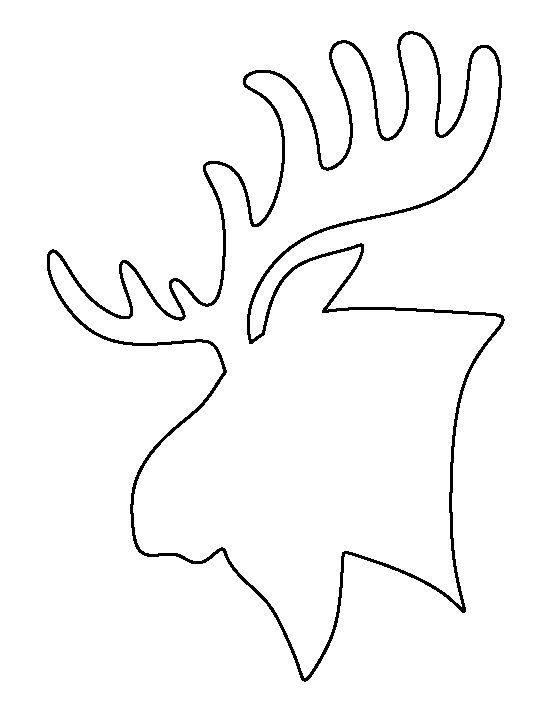 Moose Drawing Outline at GetDrawings | Free download