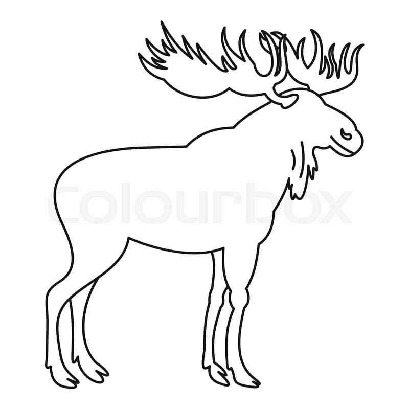 800x800 Moose Icon. Outline Illustration Of Moose Vector Icon For Web