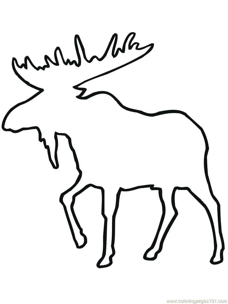 Moose Drawing Outline at GetDrawings | Free download