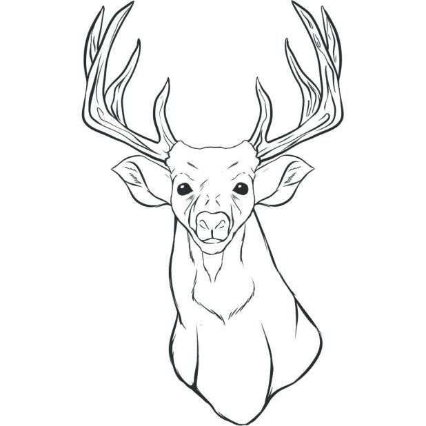 618x618 Gallery For Reindeer Head Coloring Sheets Cartoon Moose Outline