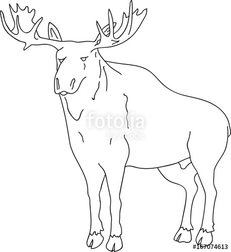 458x500 Hand Drawn Doodle Sketch, Illustration Of Wild Moose, Black