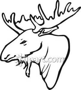 271x300 Head Outline