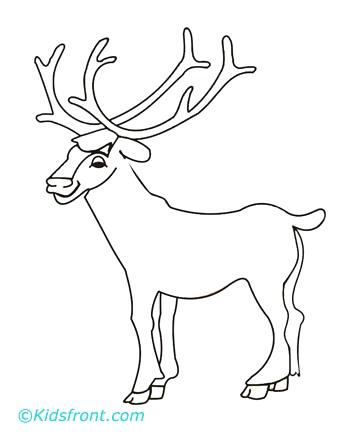 360x440 Elk Coloring Pages Moose Elk Coloring Page Pages Moose Coloring