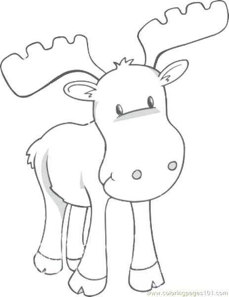 463x600 Elk Coloring Pictures Good Elk Coloring Pages With Moose Realistic