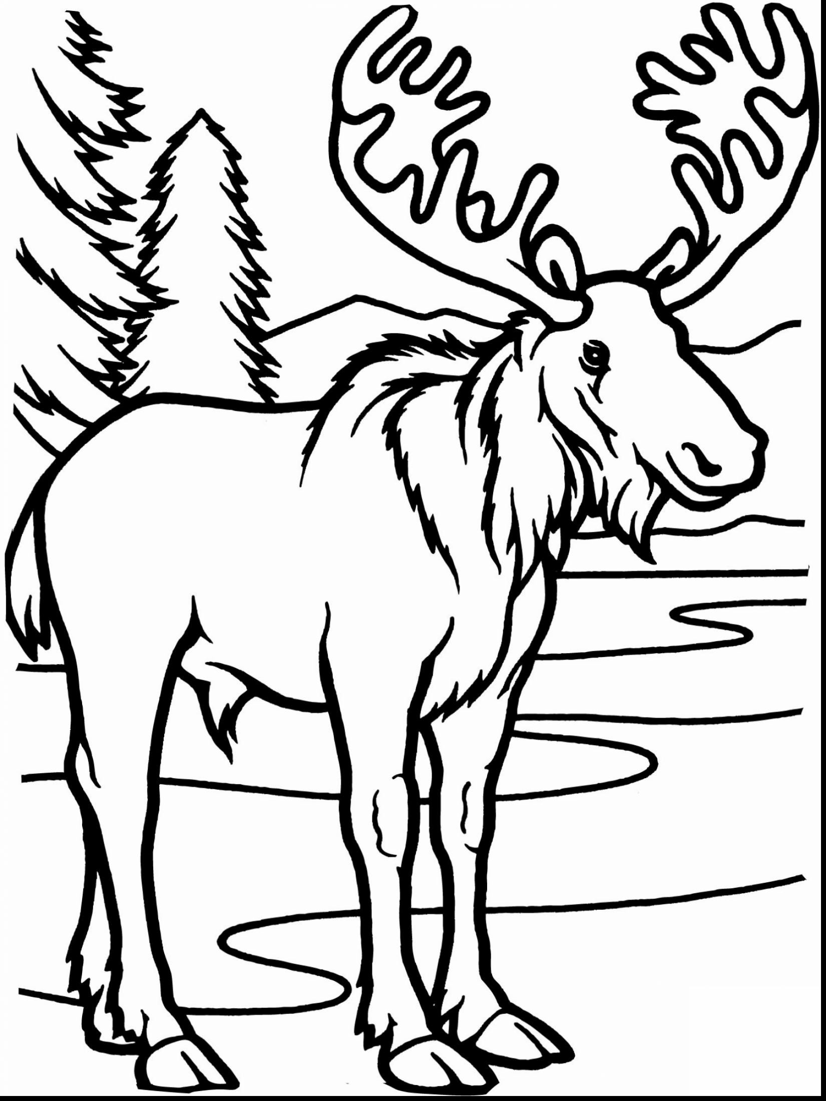 1650x2200 Moose Coloring Pages