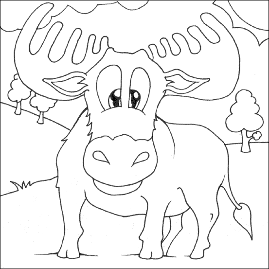 553x553 Moose Coloring Page